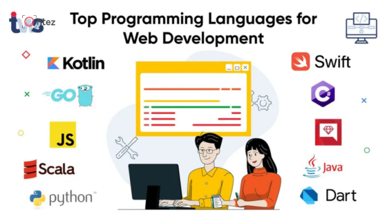 Top programming languages for web development that win in 2026